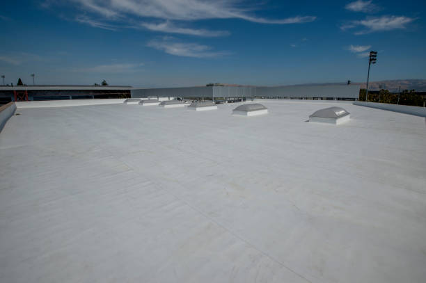 Best Green or Eco-Friendly Roofing Solutions  in Columbus, IN
